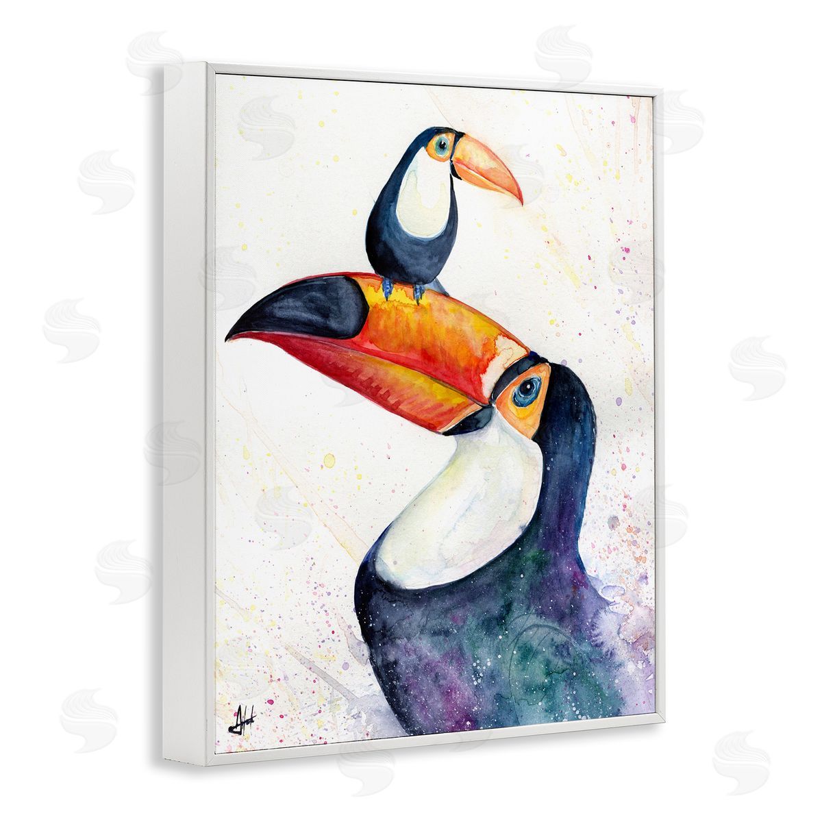 Marc Allante Toucan Baby & Mother Perched
