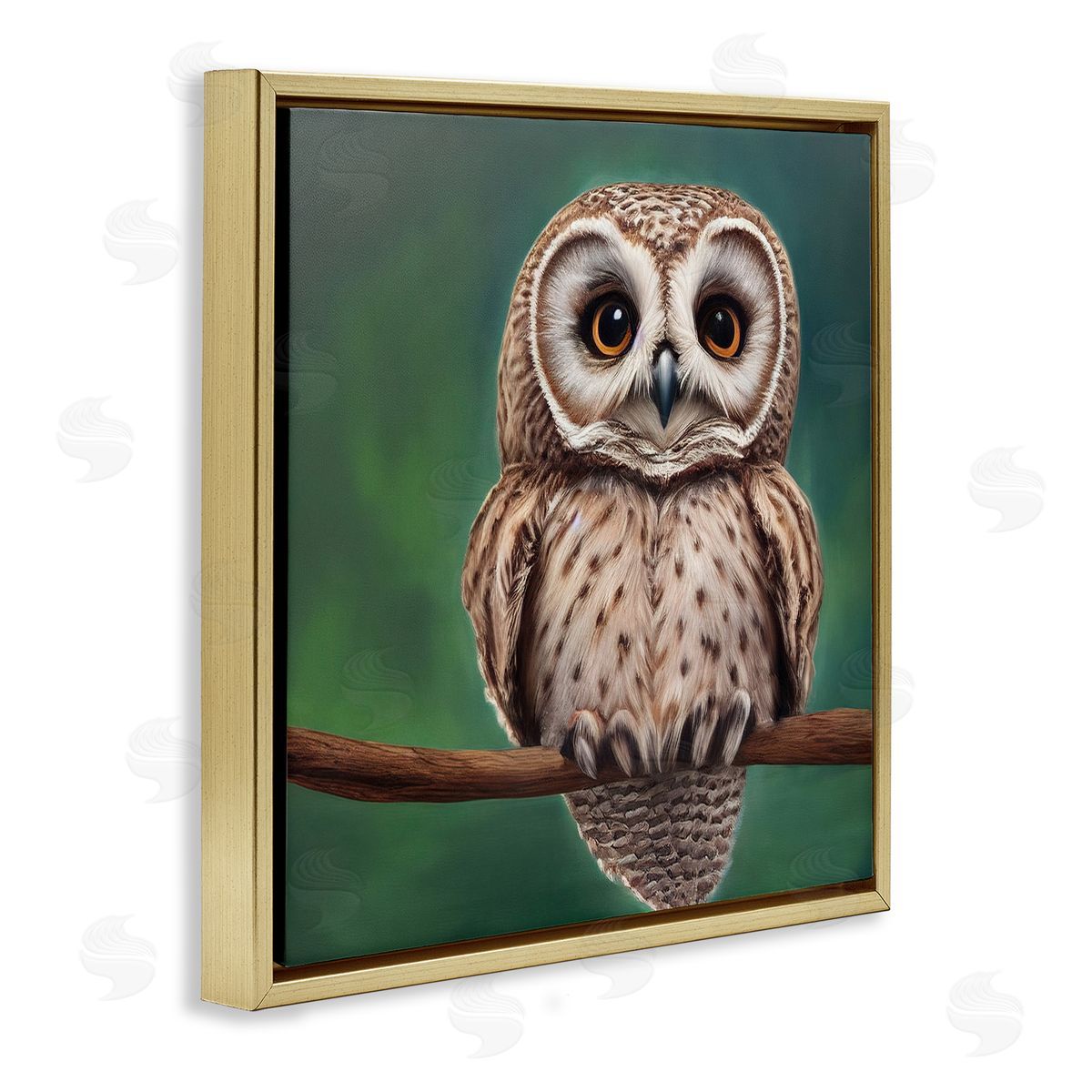 Alpenglow Workshop Gazing Spotted Owl Nature Gold Floating Frame Canvas Wall Art Print
