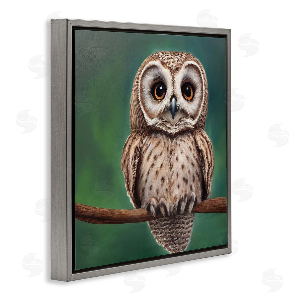 Alpenglow Workshop Gazing Spotted Owl Nature Gray Floating Frame Canvas Wall Art Print