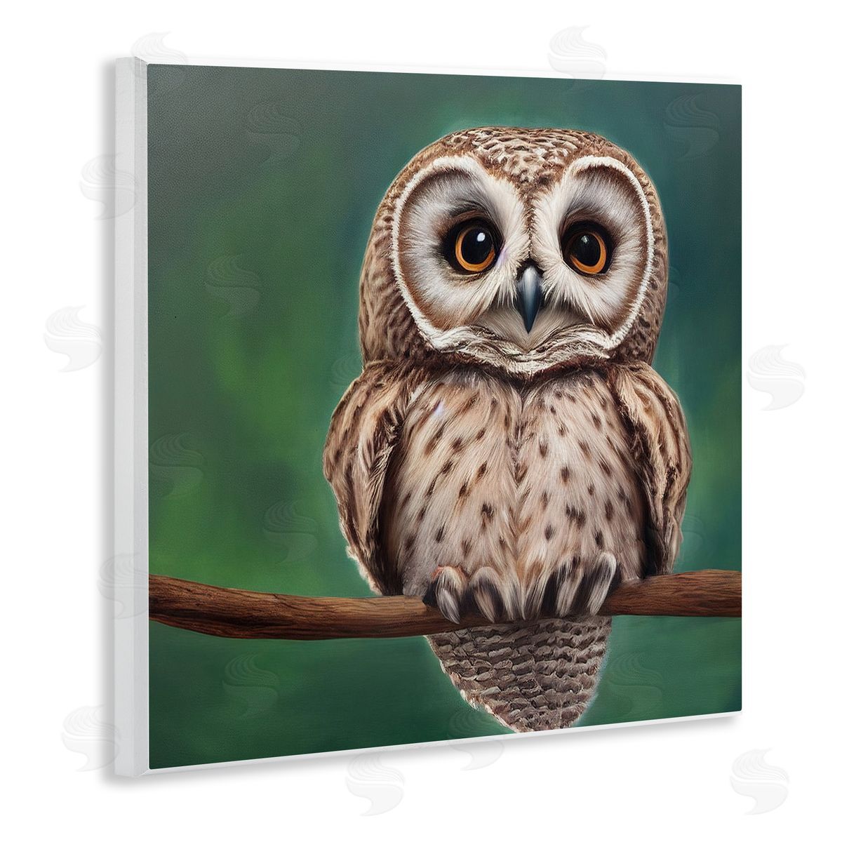 Alpenglow Workshop Gazing Spotted Owl Nature Wooden Wall Plaque Art Print