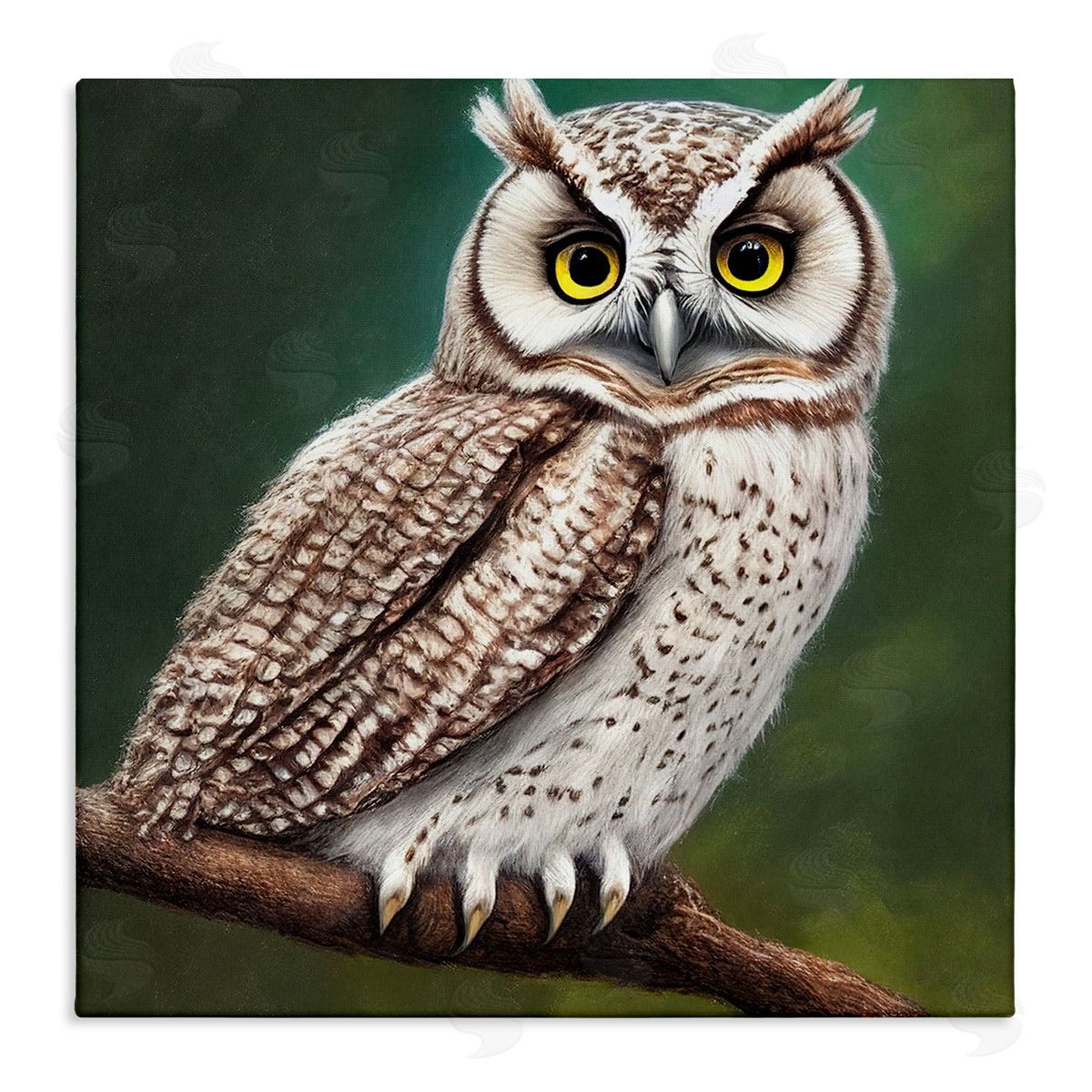 Alpenglow Workshop Yellow Eyed Owl Gaze Stretched Canvas Wall Art Print