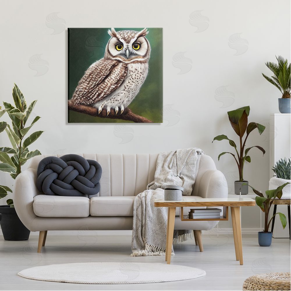 Alpenglow Workshop Yellow Eyed Owl Gaze Canvas Wall Art in Room