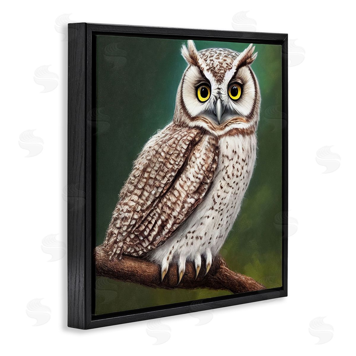 Alpenglow Workshop Yellow Eyed Owl Gaze Black Floating Frame Canvas Wall Art Print