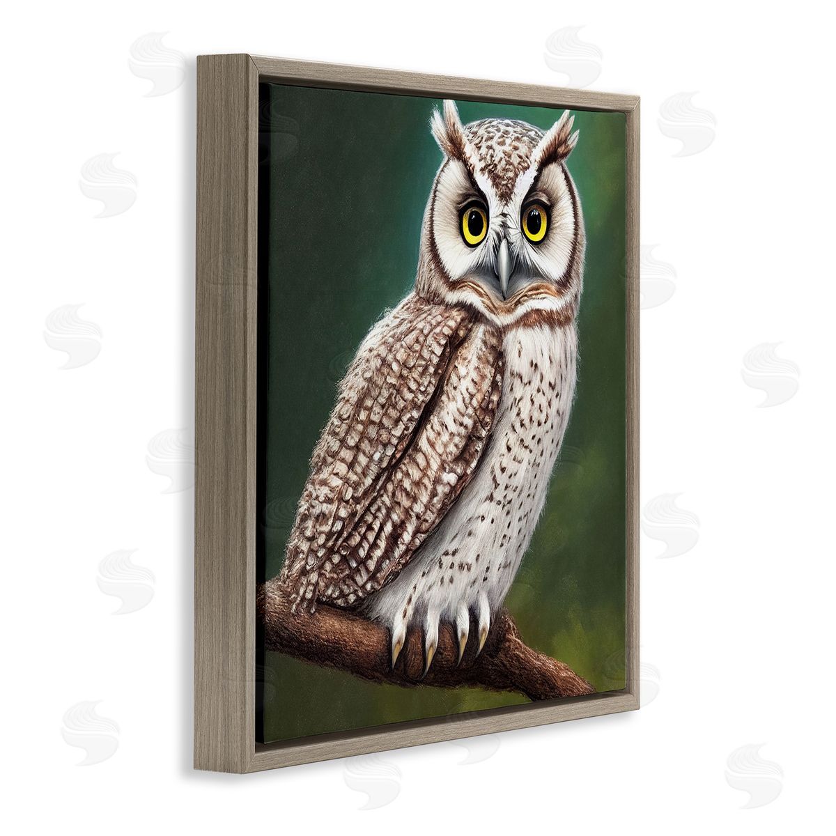 Alpenglow Workshop Yellow Eyed Owl Gaze Brown Floating Frame Canvas Wall Art Print
