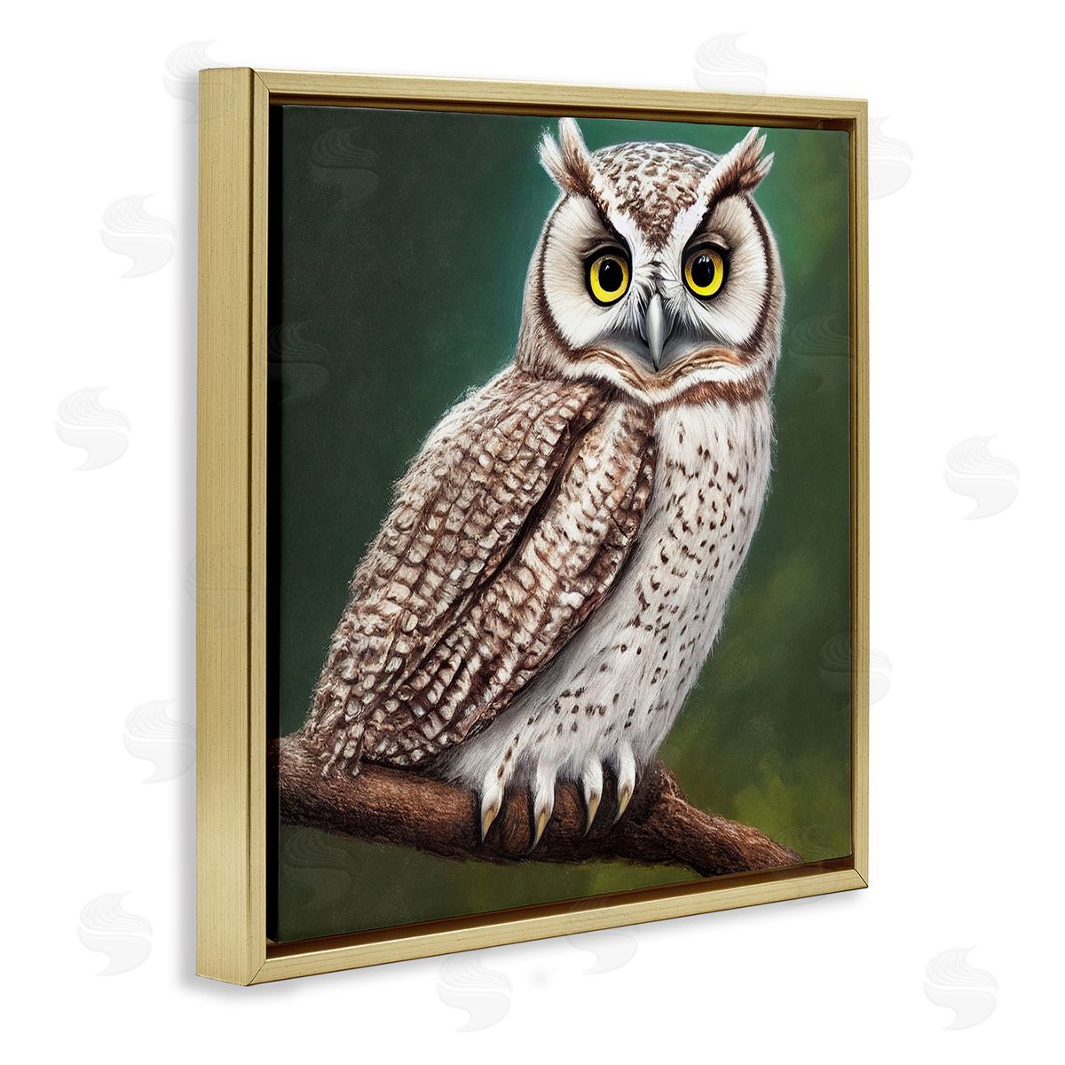 Alpenglow Workshop Yellow Eyed Owl Gaze Gold Floating Frame Canvas Wall Art Print