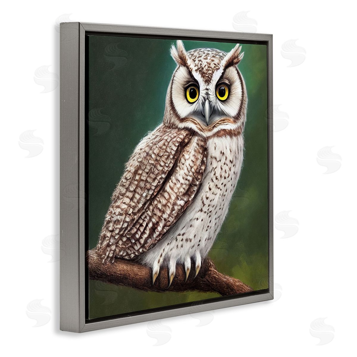 Alpenglow Workshop Yellow Eyed Owl Gaze Gray Floating Frame Canvas Wall Art Print