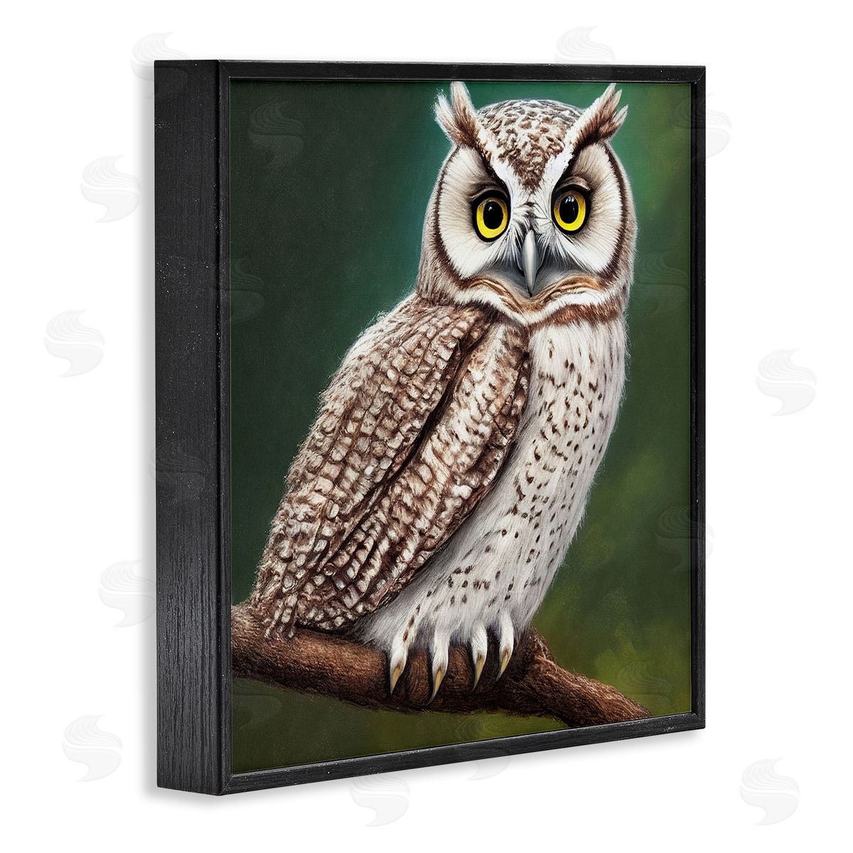 Alpenglow Workshop Yellow Eyed Owl Gaze Black Framed Glicee Wall Art Print