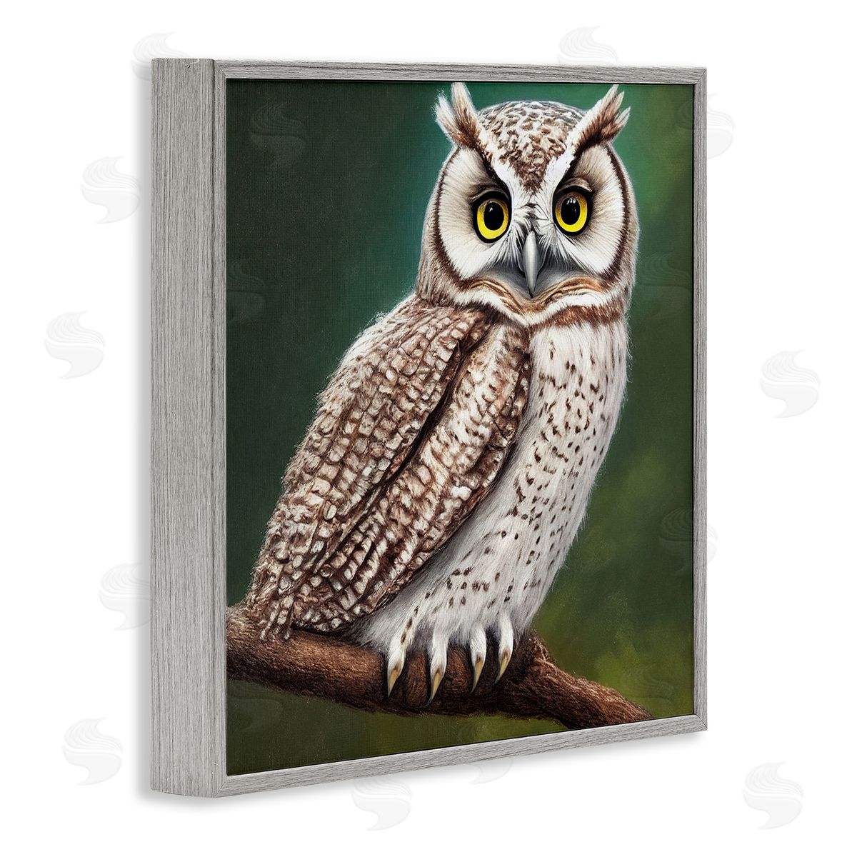 Alpenglow Workshop Yellow Eyed Owl Gaze Gray Framed Glicee Wall Art Print