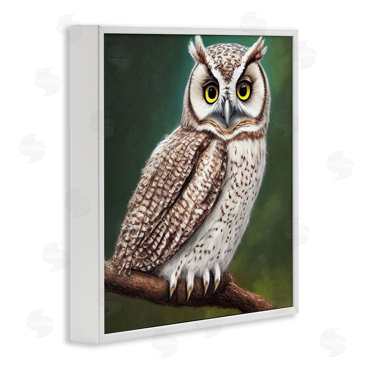 Alpenglow Workshop Yellow Eyed Owl Gaze White Framed Glicee Wall Art Print