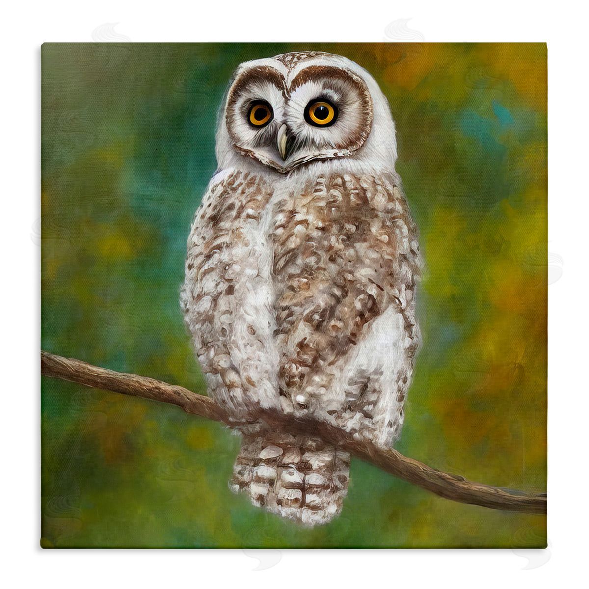 Alpenglow Workshop Detailed Wildlife Owl Bird Stretched Canvas Wall Art Print