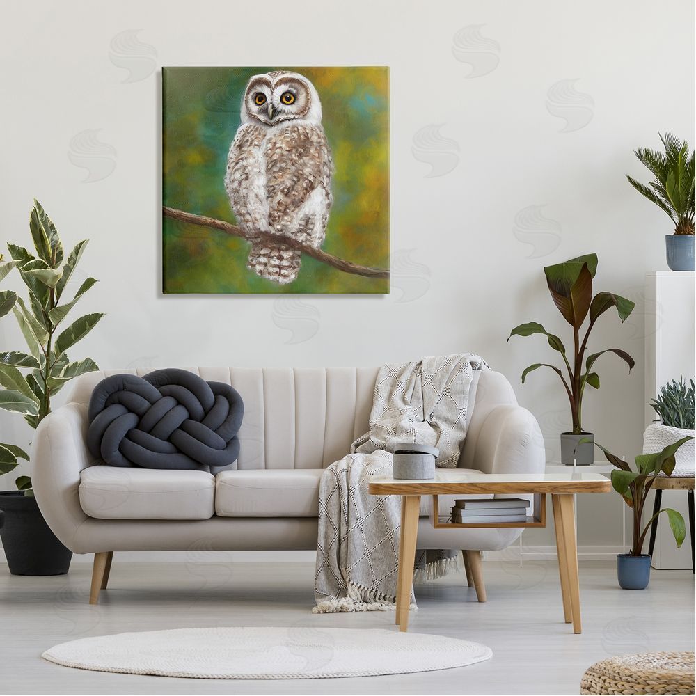 Alpenglow Workshop Detailed Wildlife Owl Bird Canvas Wall Art in Room