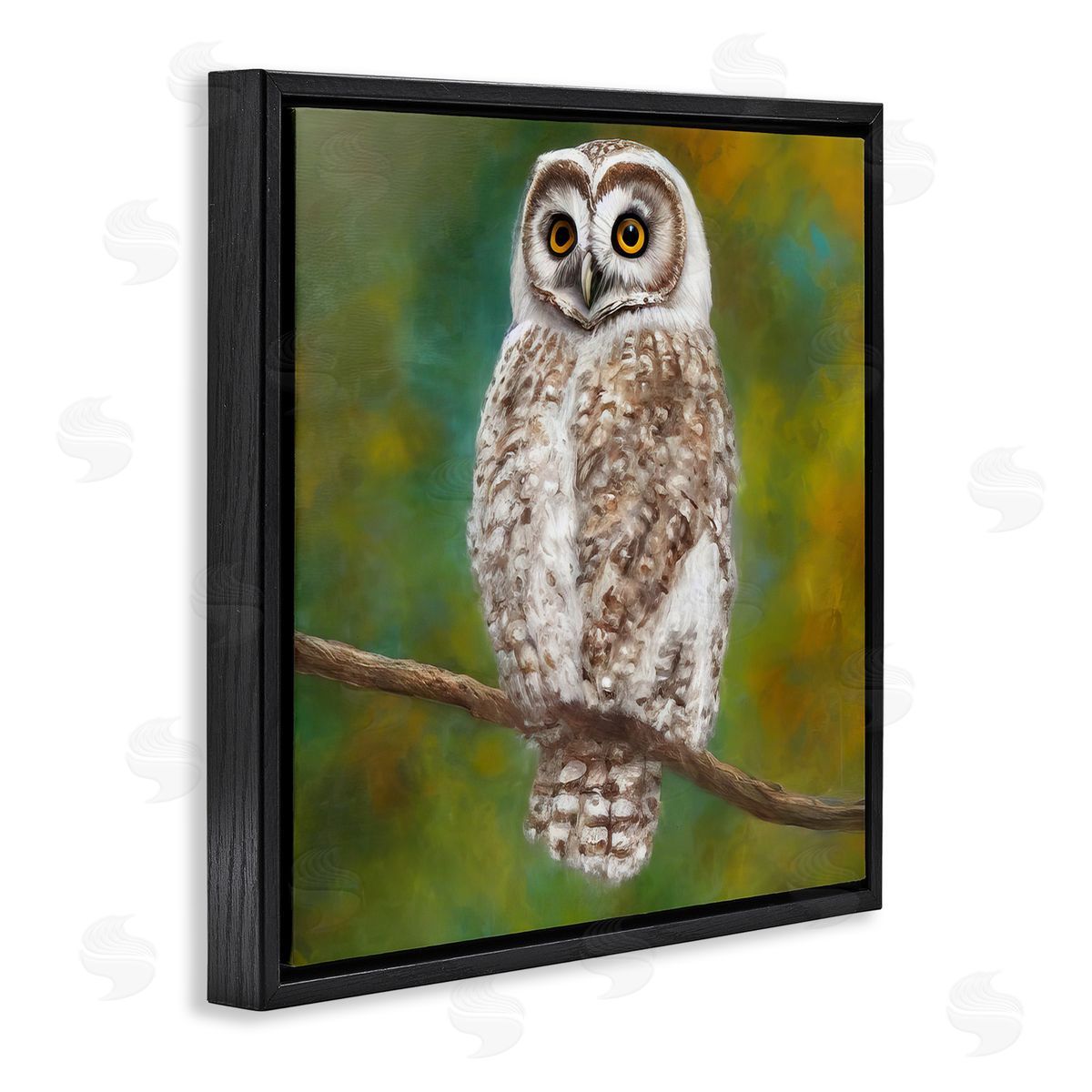 Alpenglow Workshop Detailed Wildlife Owl Bird Black Floating Frame Canvas Wall Art Print