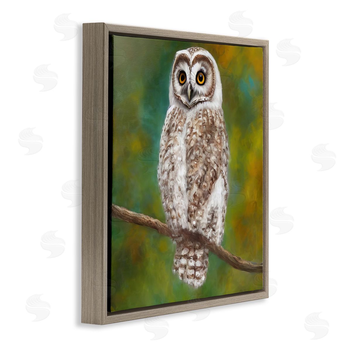 Alpenglow Workshop Detailed Wildlife Owl Bird Brown Floating Frame Canvas Wall Art Print