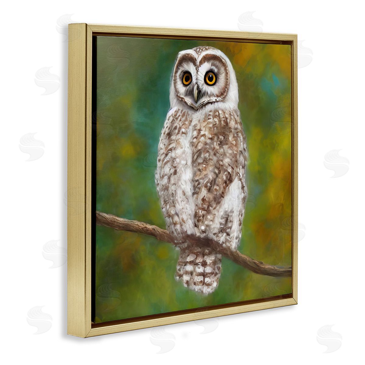 Alpenglow Workshop Detailed Wildlife Owl Bird Gold Floating Frame Canvas Wall Art Print