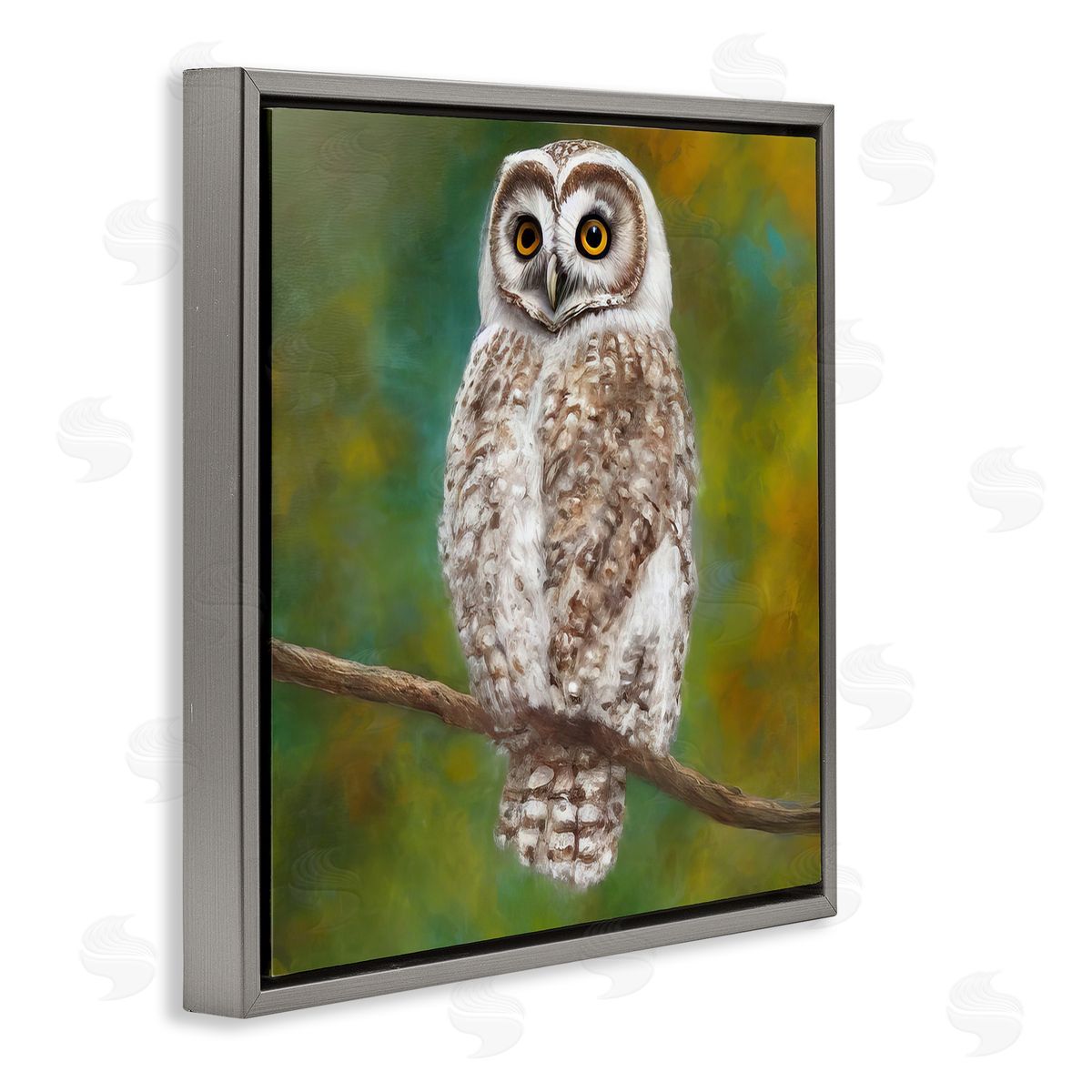 Alpenglow Workshop Detailed Wildlife Owl Bird Gray Floating Frame Canvas Wall Art Print