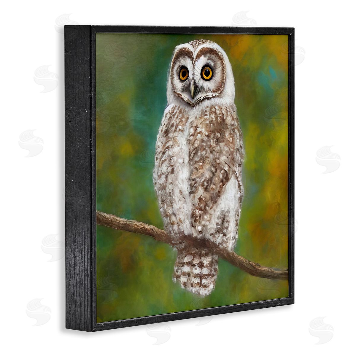 Alpenglow Workshop Detailed Wildlife Owl Bird Black Framed Glicee Wall Art Print