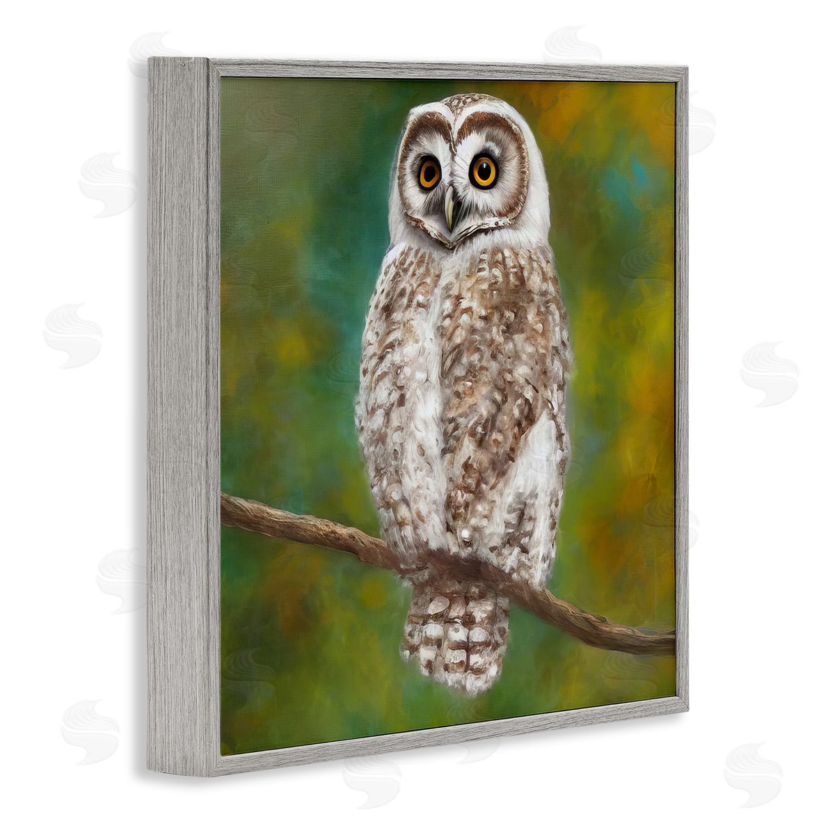 Alpenglow Workshop Detailed Wildlife Owl Bird Gray Framed Glicee Wall Art Print