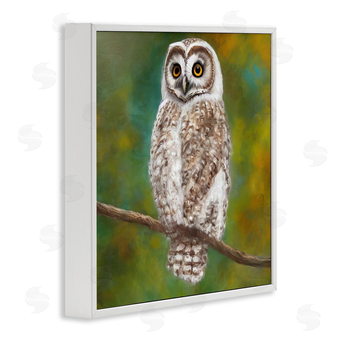 Alpenglow Workshop Detailed Wildlife Owl Bird White Framed Glicee Wall Art Print