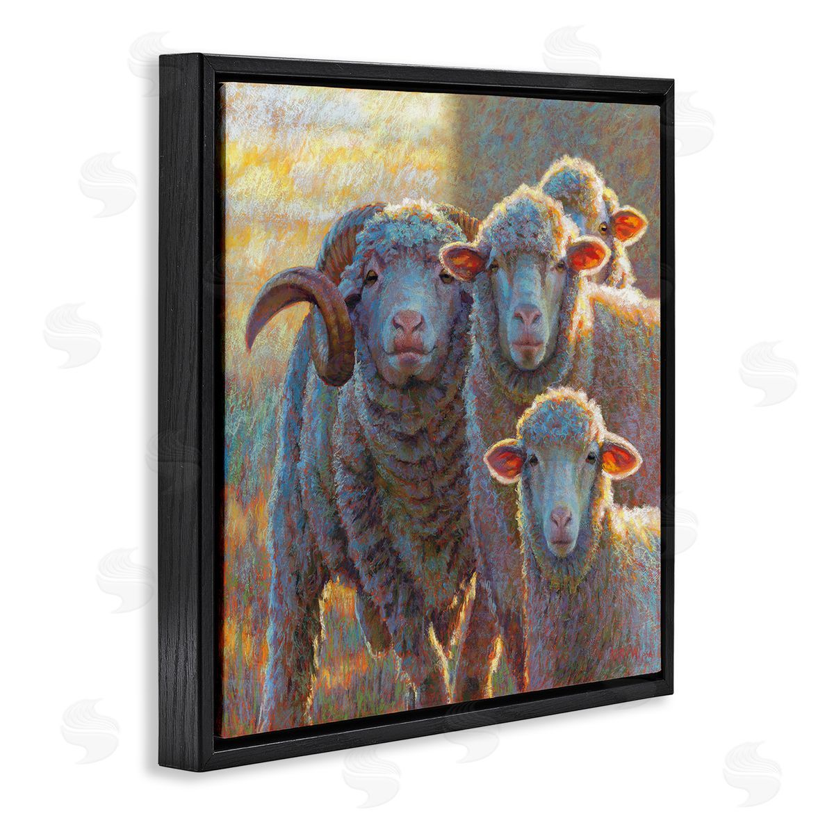Rita Kirkman Sunlit Sheep Family Farm Animals Black Floating Frame Canvas Wall Art Print