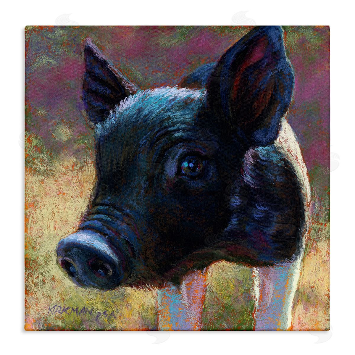 Rita Kirkman Cute Black Pig Close Up Portrait Stretched Canvas Wall Art Print