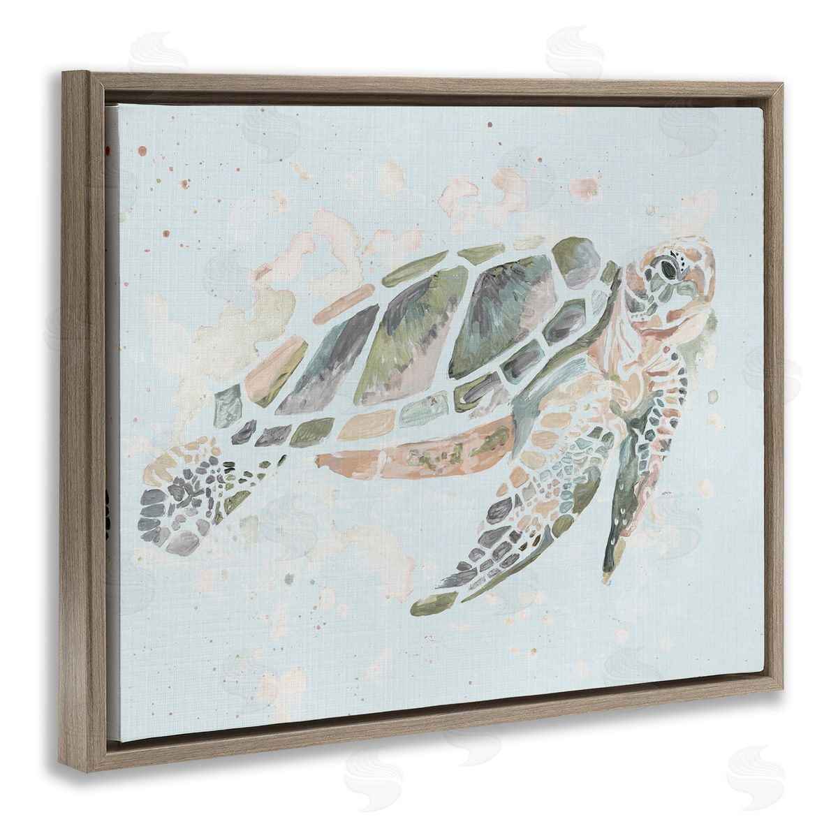 Chelsea Goodrich Tortoise Swimming Underwater Bubbles