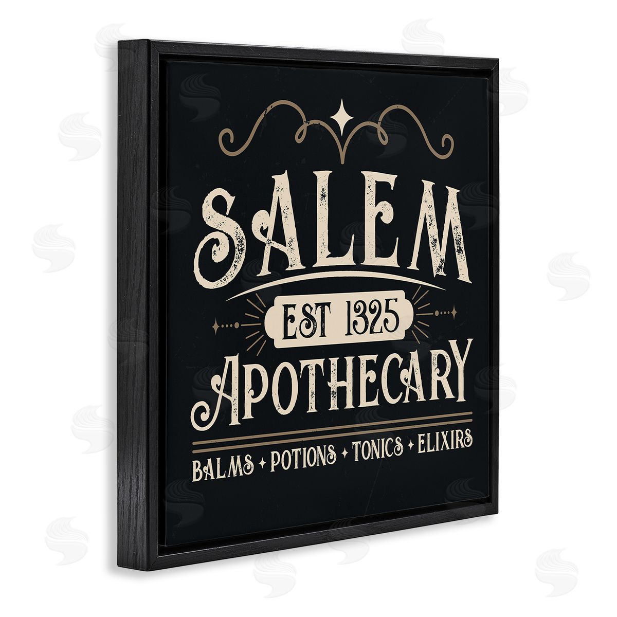 Angela Nickeas Salem Apothecary Vintage Witch Sign Black Floating Frame Canvas Wall Art Print