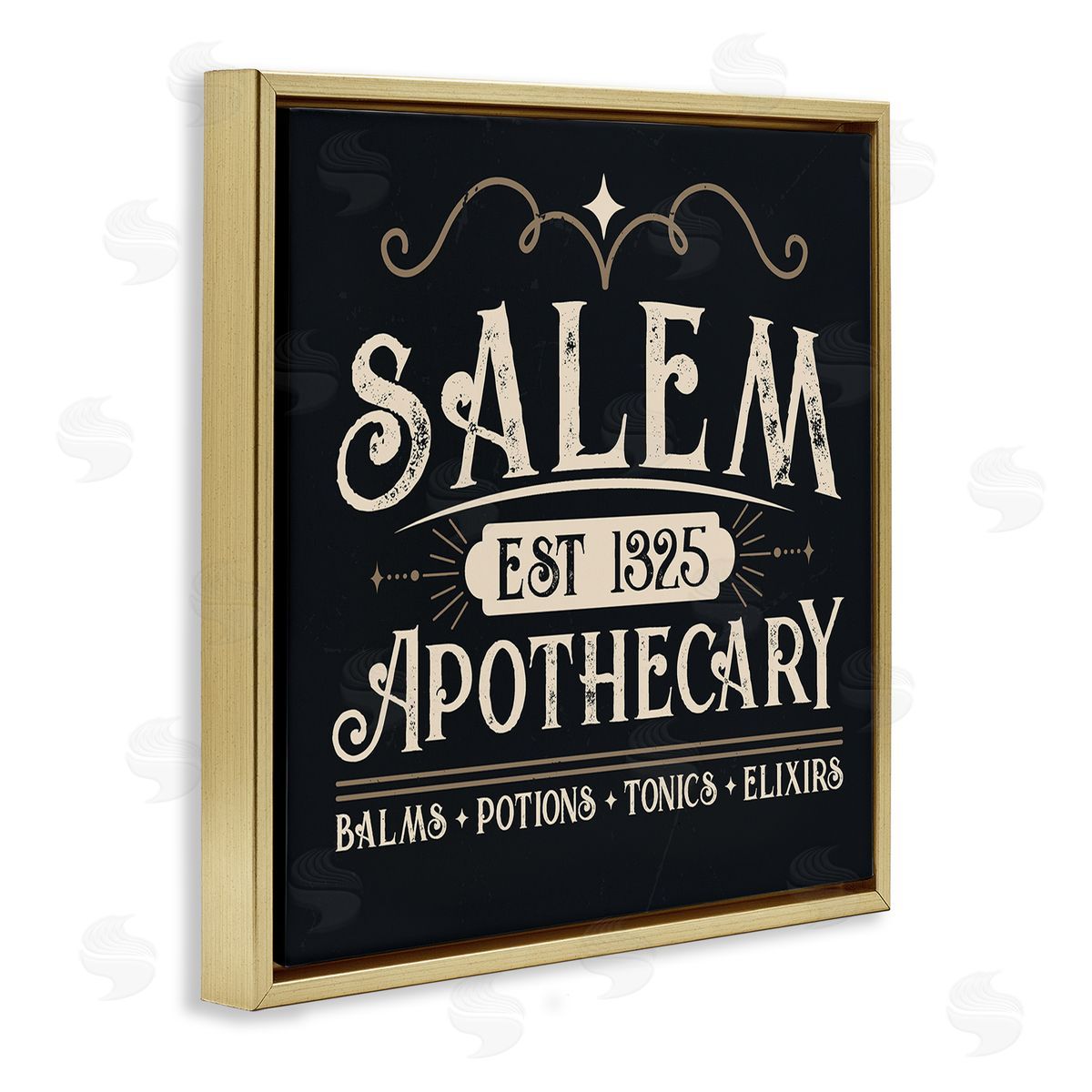 Angela Nickeas Salem Apothecary Vintage Witch Sign Gold Floating Frame Canvas Wall Art Print
