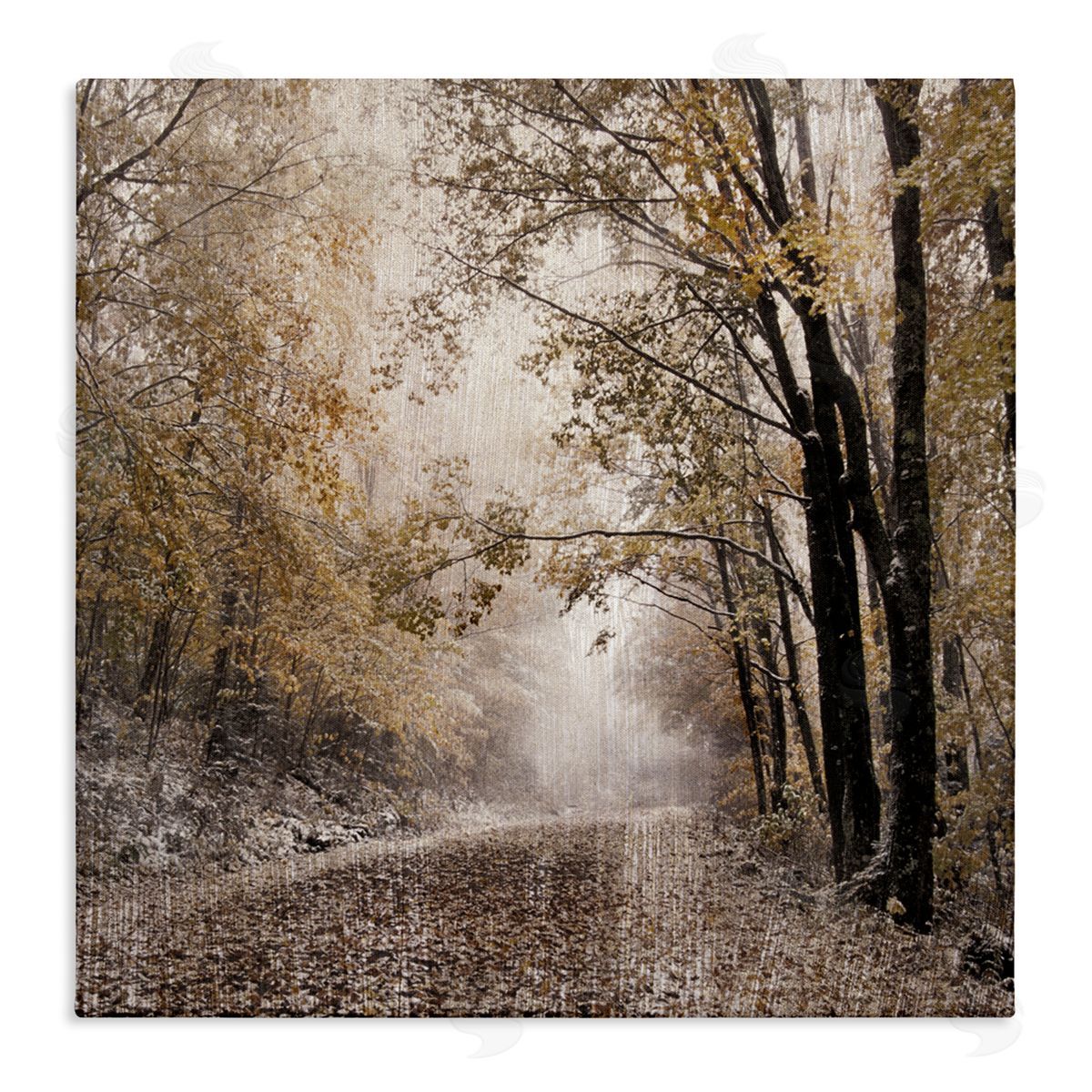 Danita Delimont Sunlit Woodland Nature Trail Stretched Canvas Wall Art Print