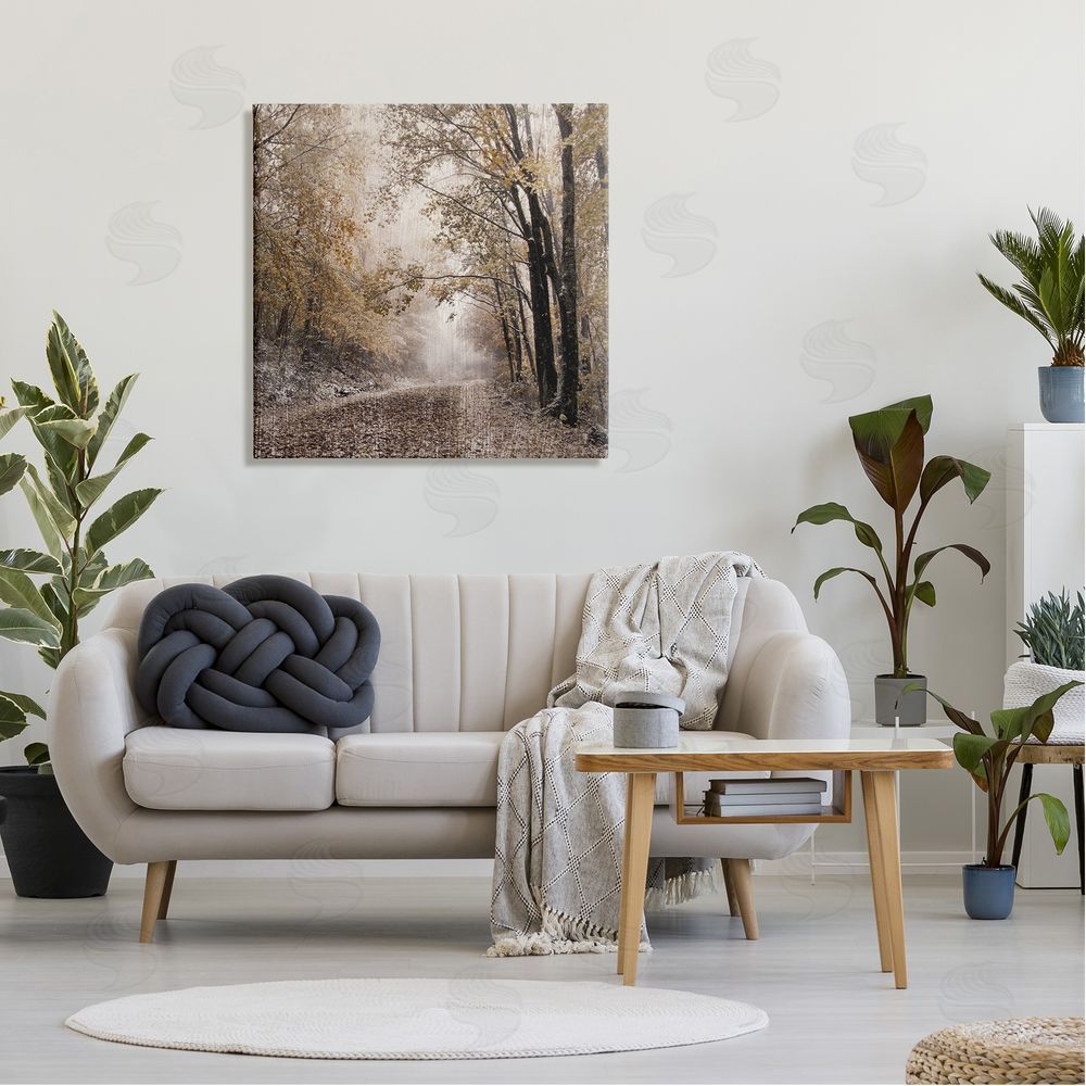 Danita Delimont Sunlit Woodland Nature Trail Canvas Wall Art in Room