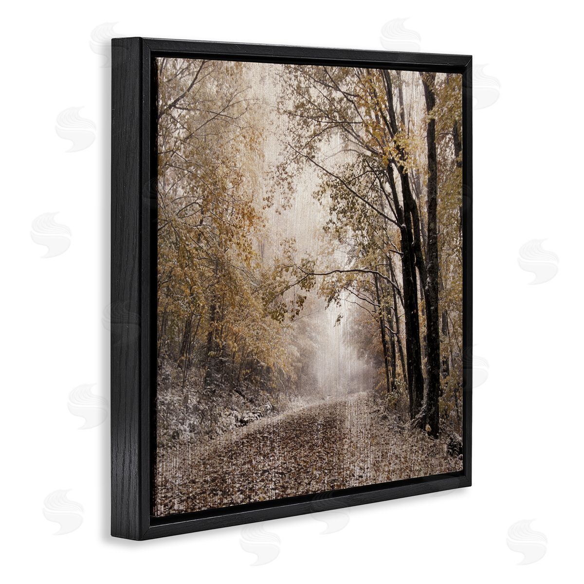 Danita Delimont Sunlit Woodland Nature Trail Black Floating Frame Canvas Wall Art Print