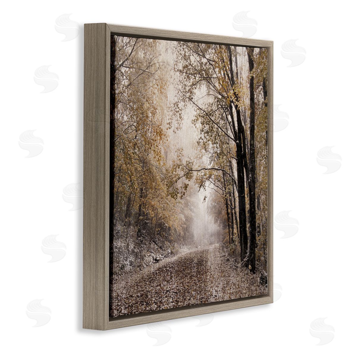 Danita Delimont Sunlit Woodland Nature Trail Brown Floating Frame Canvas Wall Art Print