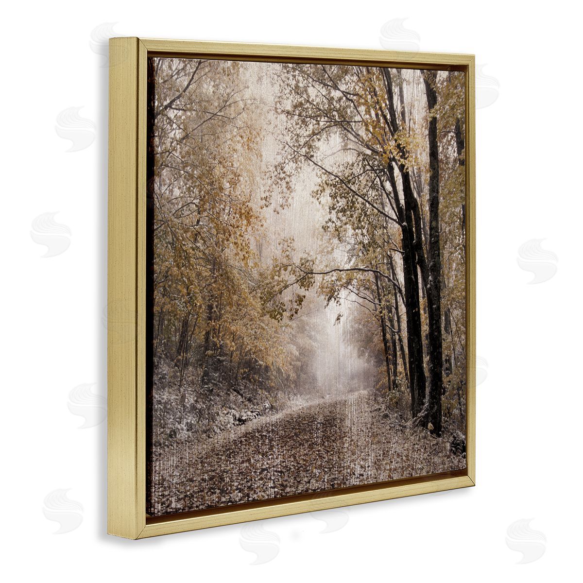 Danita Delimont Sunlit Woodland Nature Trail Gold Floating Frame Canvas Wall Art Print