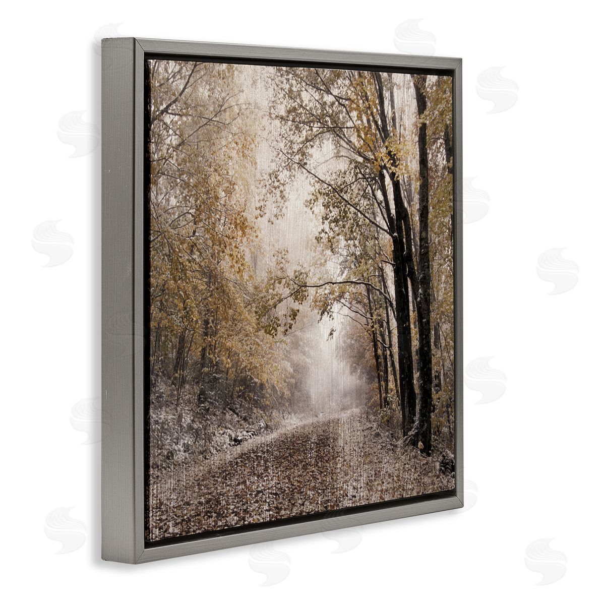Danita Delimont Sunlit Woodland Nature Trail Gray Floating Frame Canvas Wall Art Print