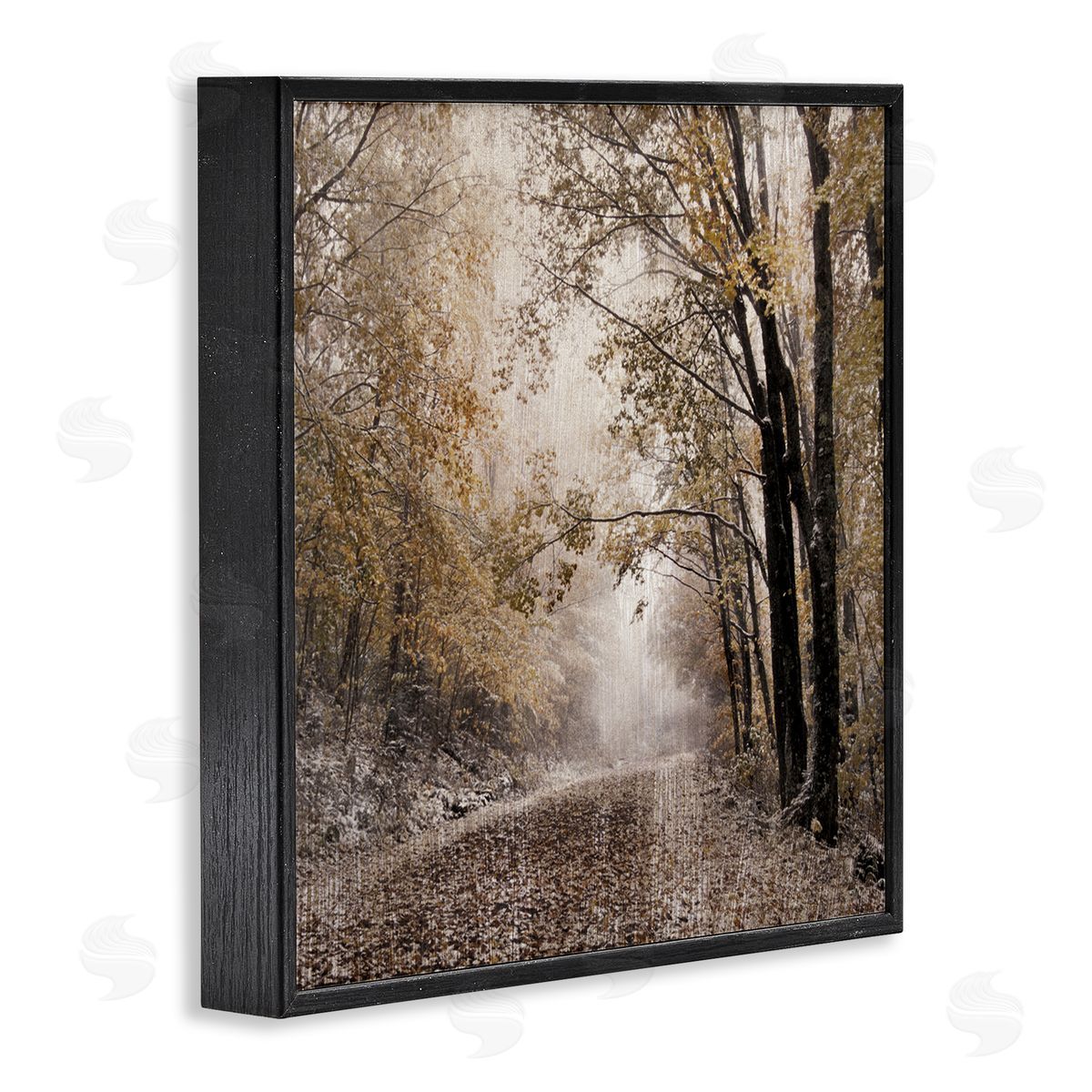 Danita Delimont Sunlit Woodland Nature Trail Black Framed Glicee Wall Art Print
