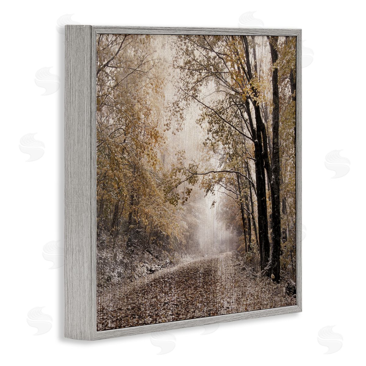 Danita Delimont Sunlit Woodland Nature Trail Gray Framed Glicee Wall Art Print