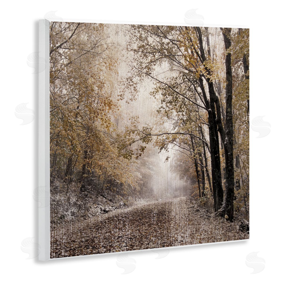 Danita Delimont Sunlit Woodland Nature Trail Wooden Wall Plaque Art Print