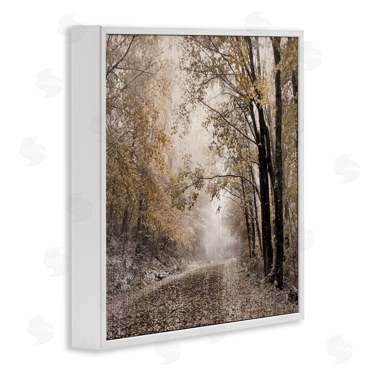 Danita Delimont Sunlit Woodland Nature Trail White Framed Glicee Wall Art Print