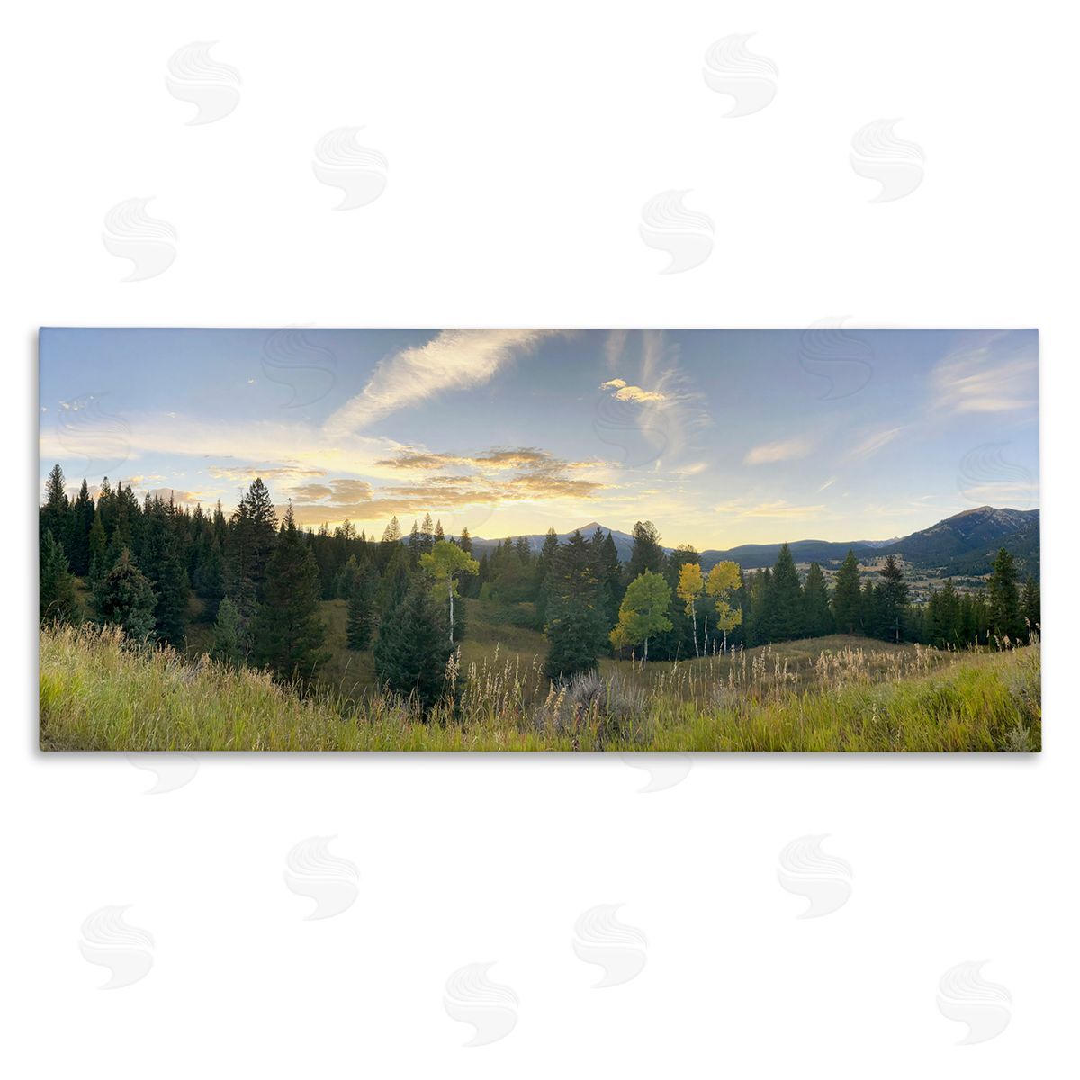 Emily Navas Panoramic Montana Nature Landscape