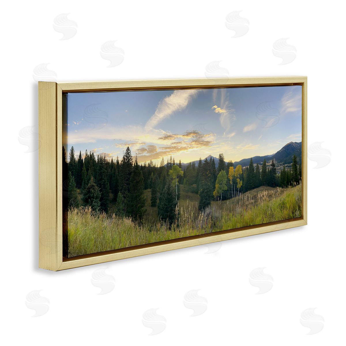 Emily Navas Panoramic Montana Nature Landscape