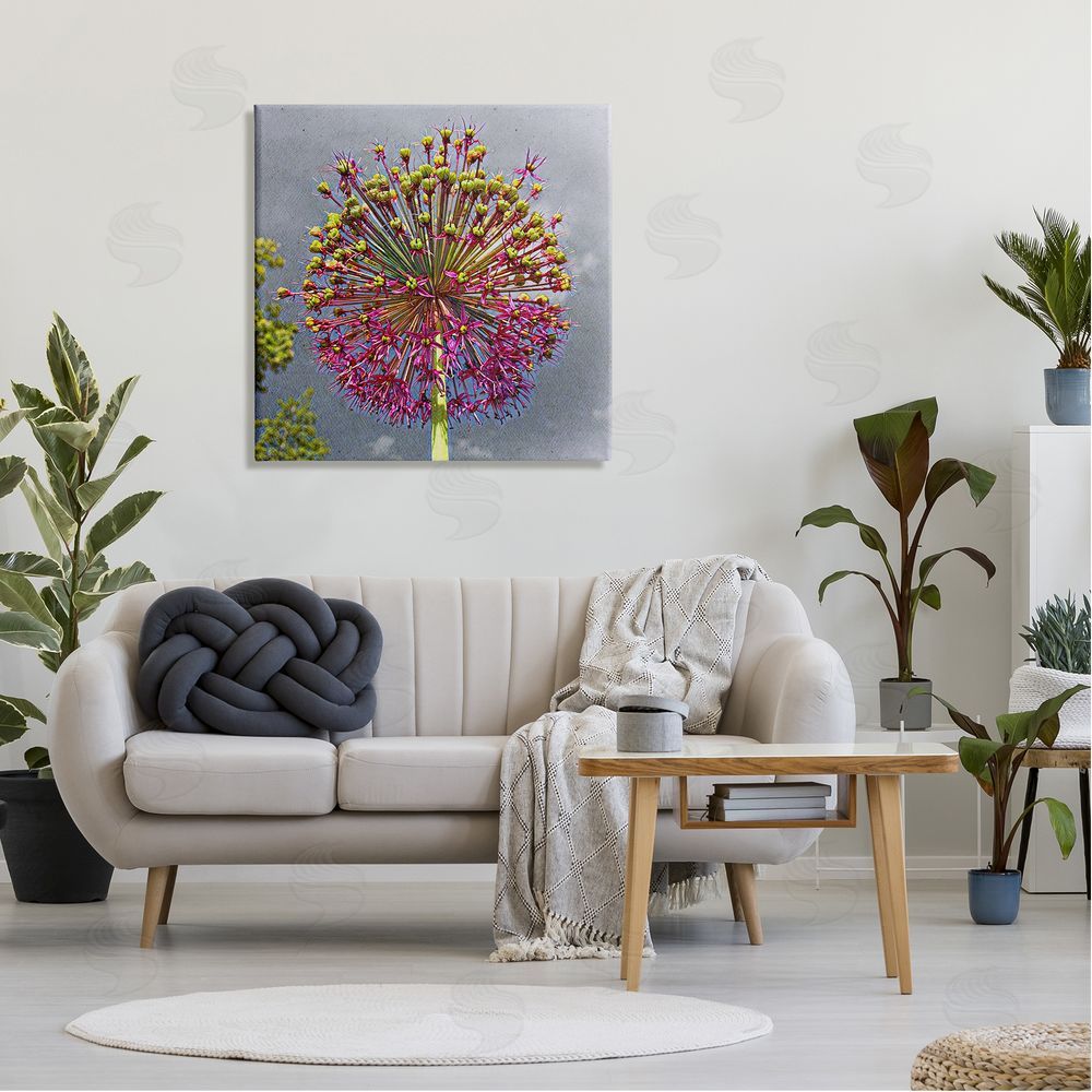 Heidi Bannon Modern Dandelion Pink Abstract Canvas Wall Art in Room