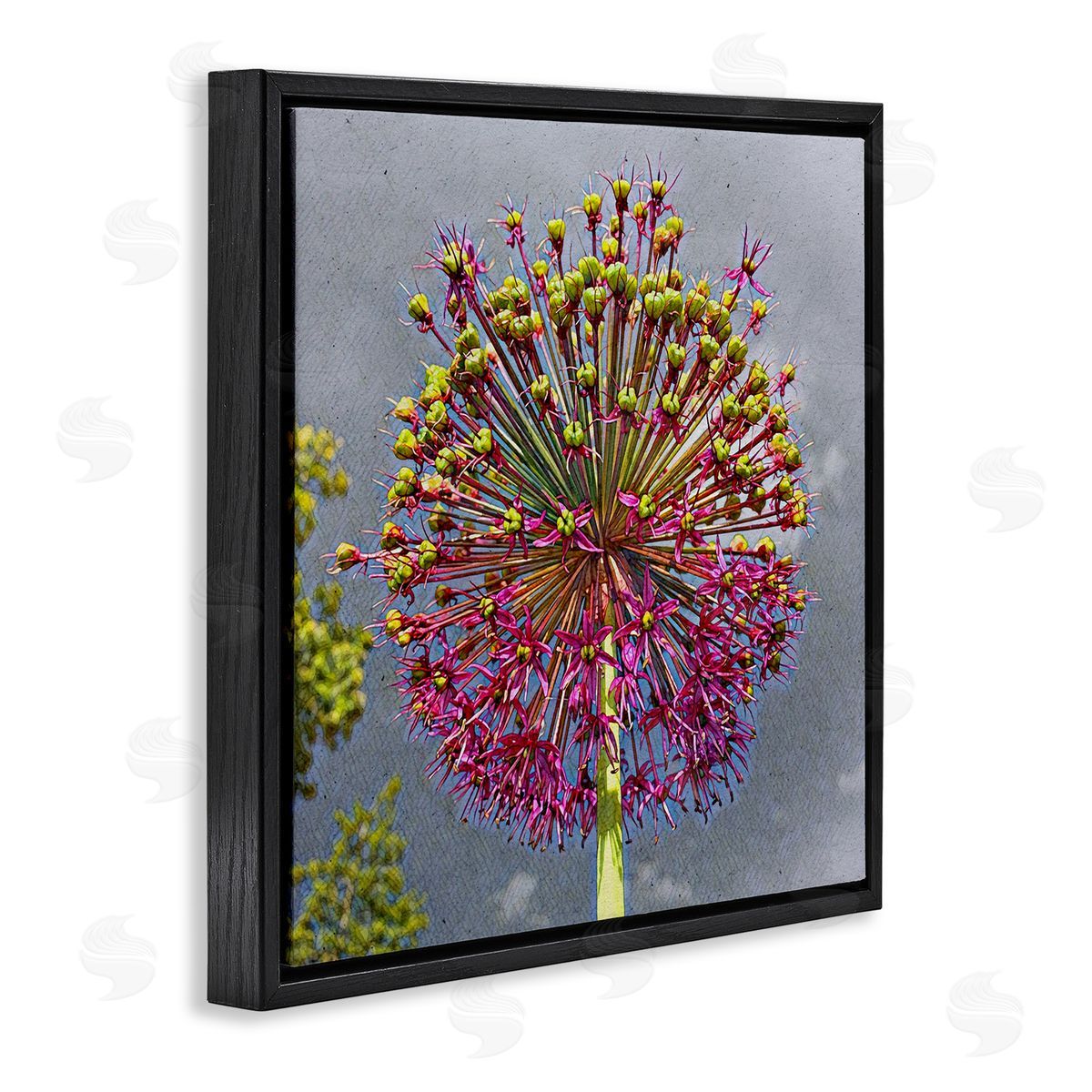 Heidi Bannon Modern Dandelion Pink Abstract Black Floating Frame Canvas Wall Art Print