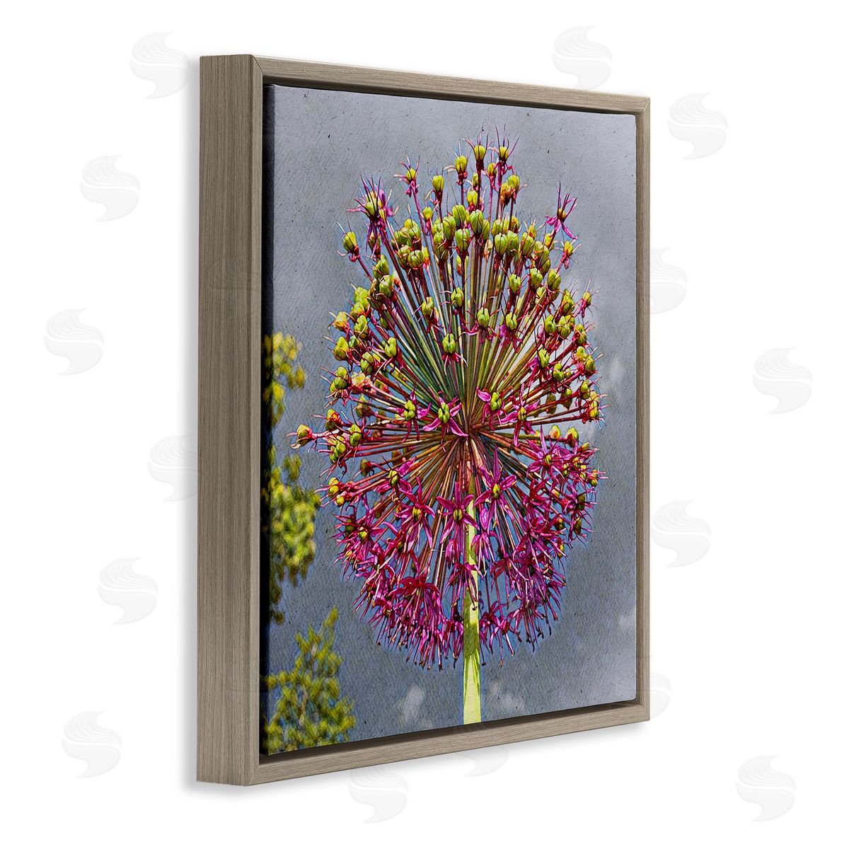 Heidi Bannon Modern Dandelion Pink Abstract Brown Floating Frame Canvas Wall Art Print