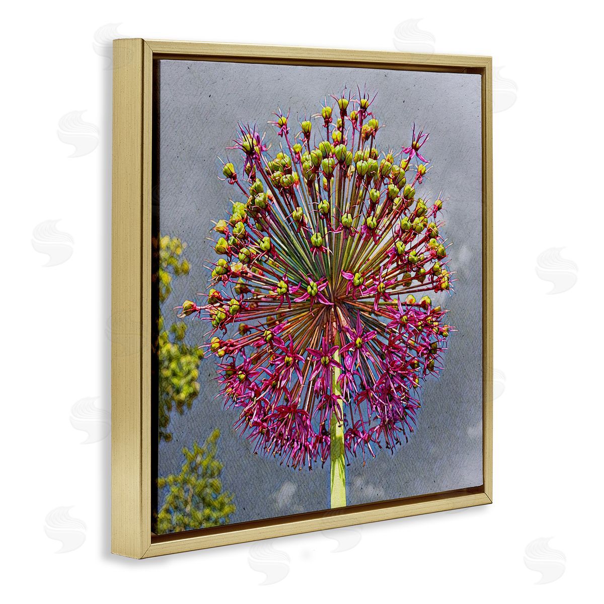 Heidi Bannon Modern Dandelion Pink Abstract Gold Floating Frame Canvas Wall Art Print