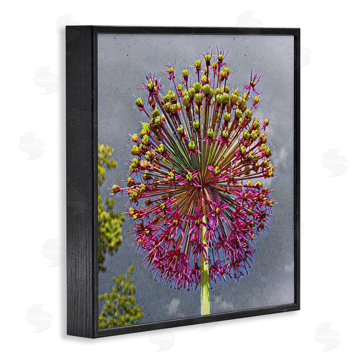 Heidi Bannon Modern Dandelion Pink Abstract Black Framed Glicee Wall Art Print