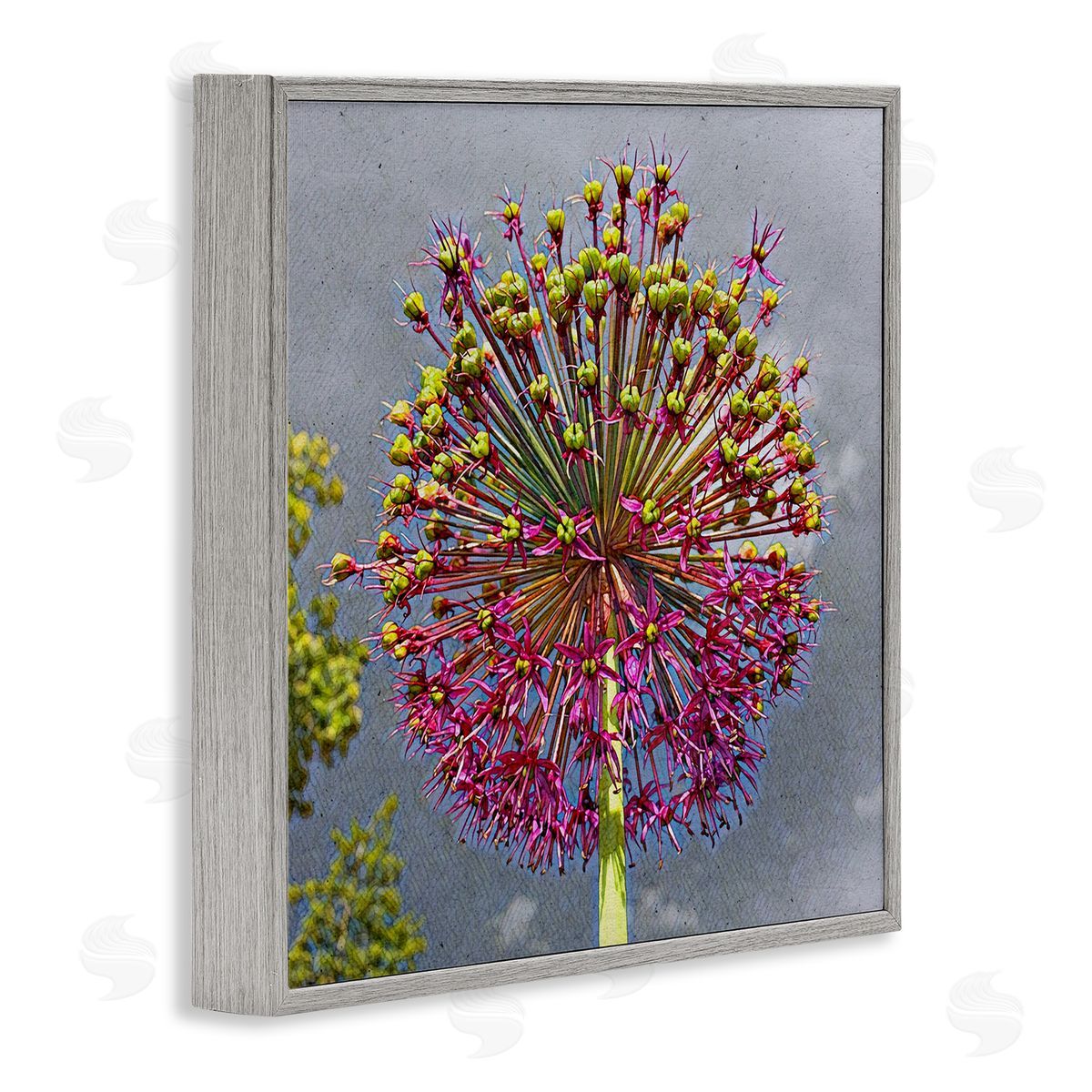 Heidi Bannon Modern Dandelion Pink Abstract Gray Framed Glicee Wall Art Print