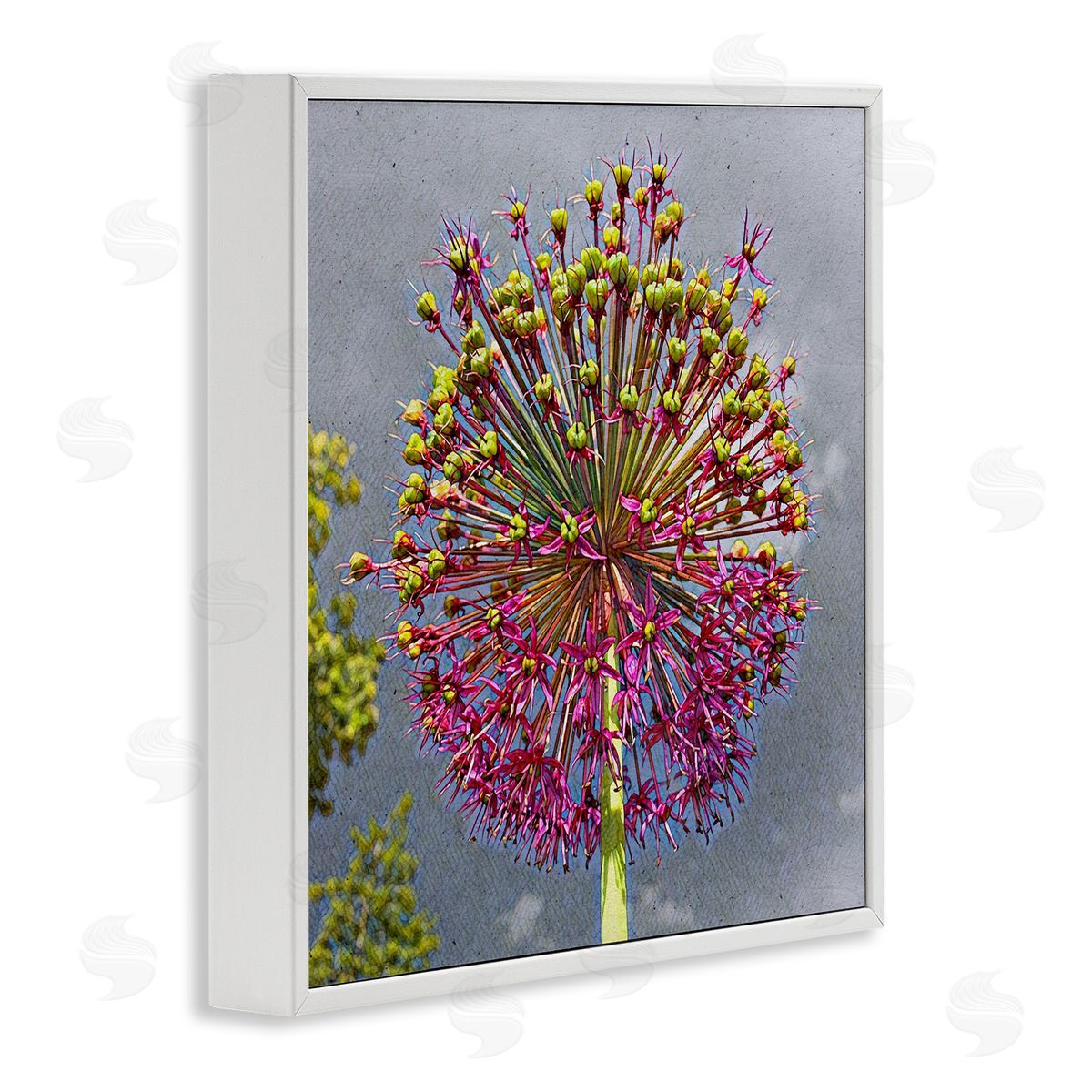 Heidi Bannon Modern Dandelion Pink Abstract White Framed Glicee Wall Art Print