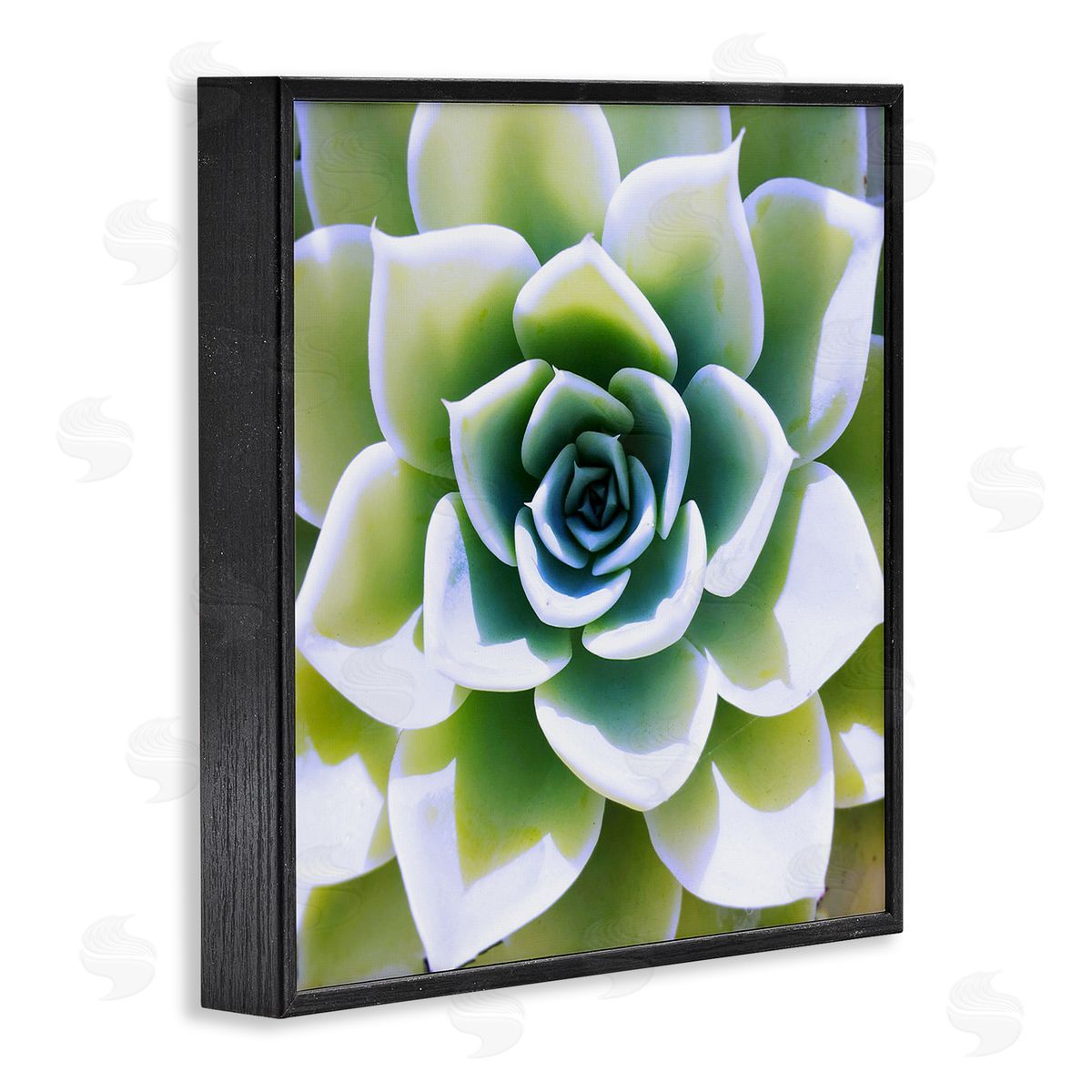 Green Succulent Nature Close Up Black Frame Print Wall Art, Home Decor by Irena Orlov