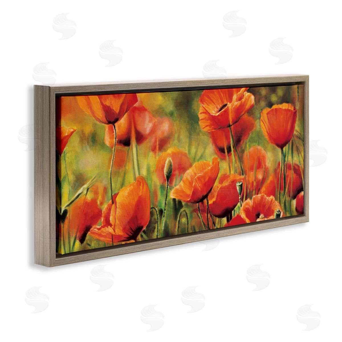 Pierre Viollet Wild Poppy Flowers Spring Blooms