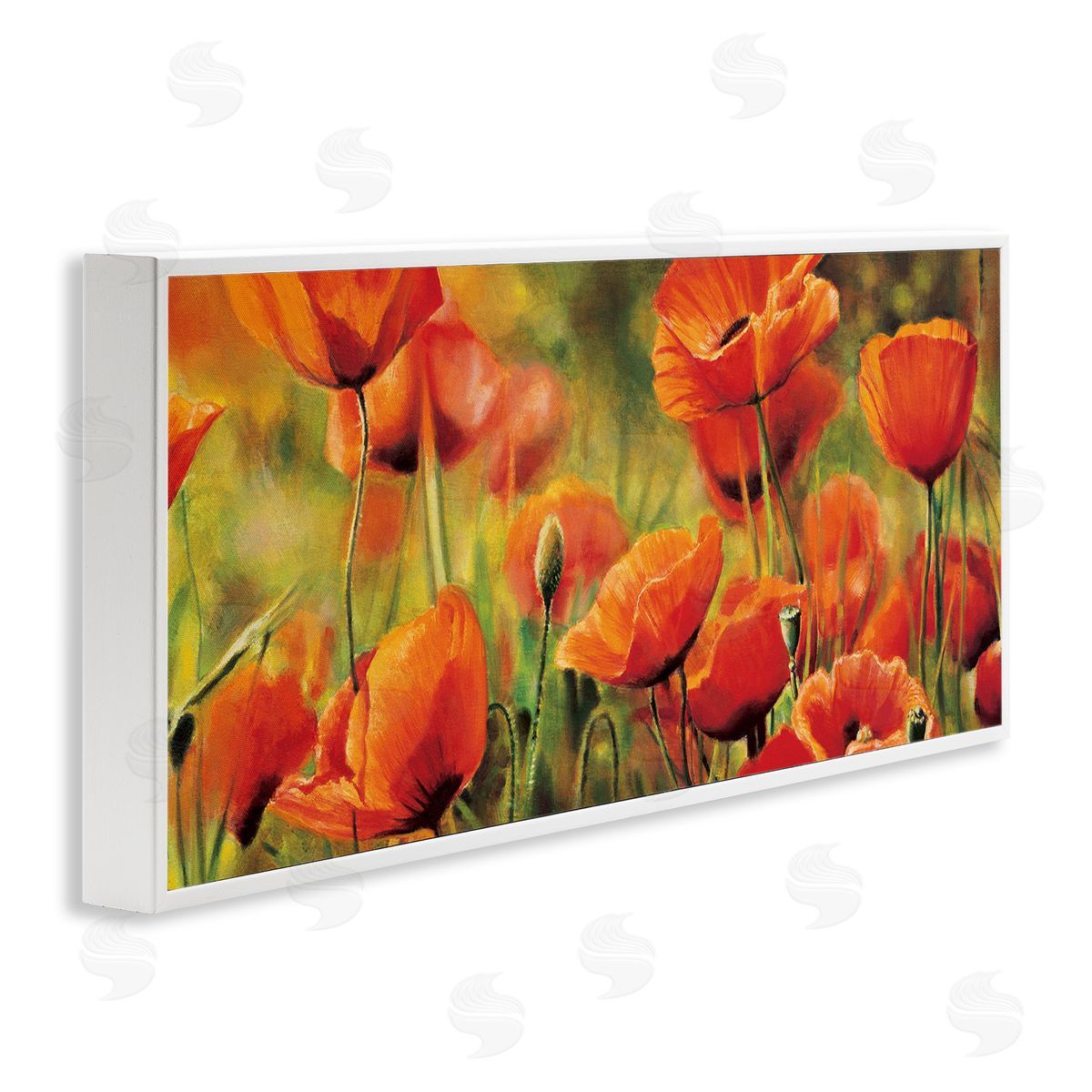 Pierre Viollet Wild Poppy Flowers Spring Blooms