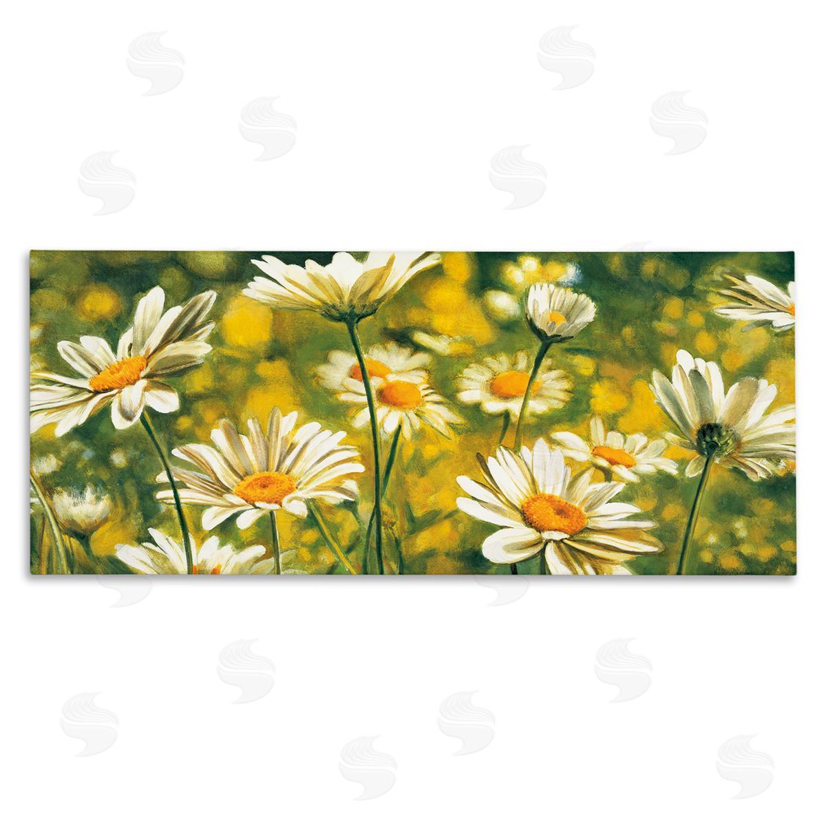 Pierre Viollet Wild Daisies Blooming Nature Garden